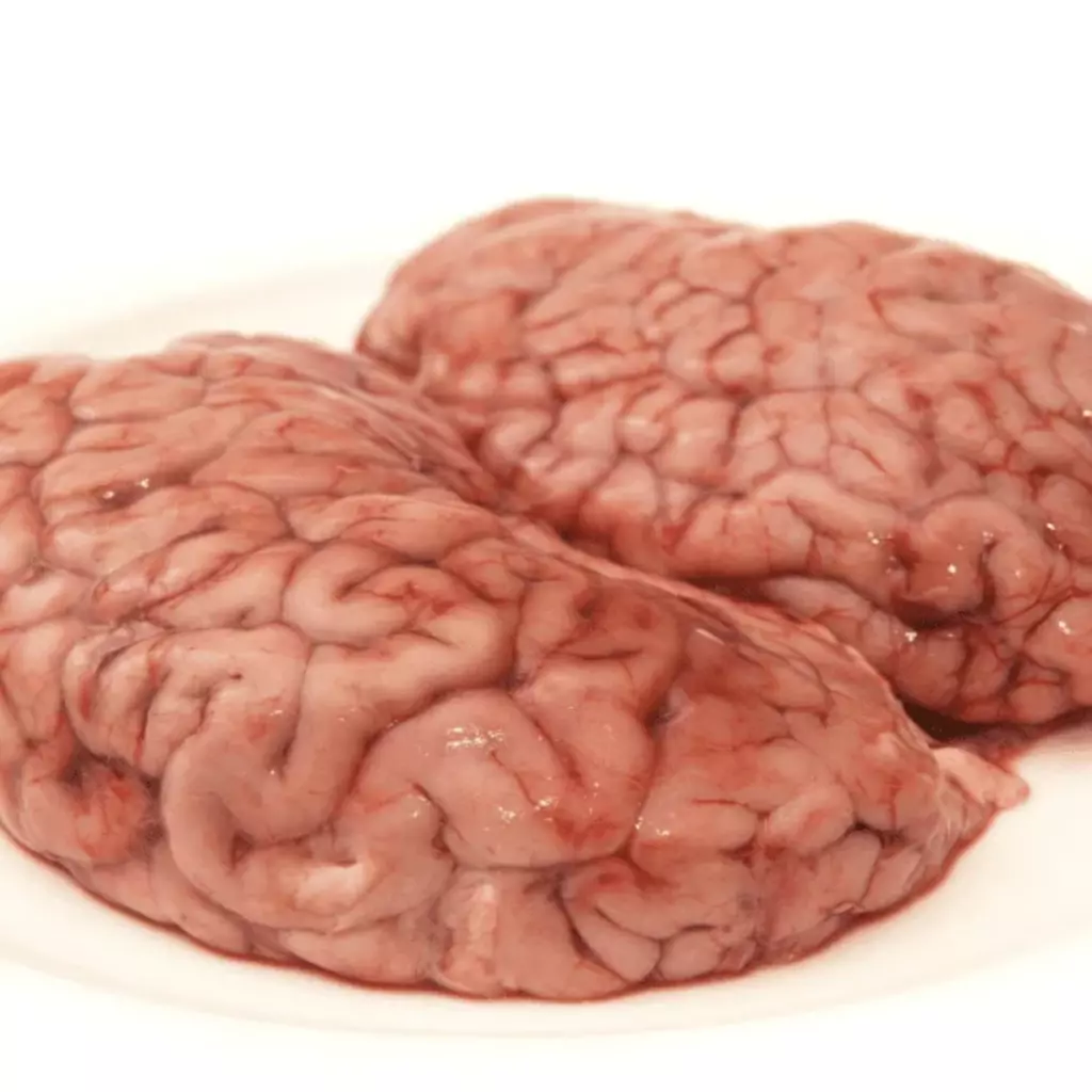 lamb brain